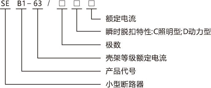 SEB1 L- 63系列漏電斷路器產品命名規(guī)則.jpg